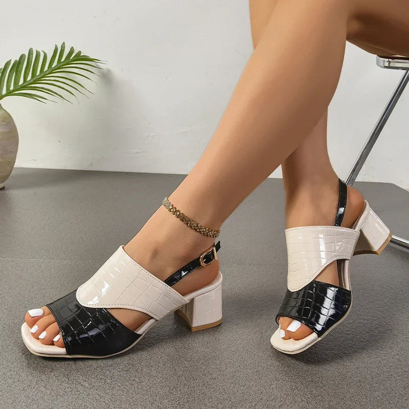 https://cdn.shopify.com/s/files/1/0909/1973/1504/files/S13be8719f58f402dbc6a3a330befb4d4L.webp?v=1743406575