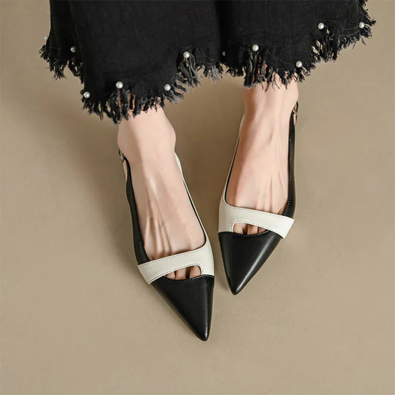 https://cdn.shopify.com/s/files/1/0909/1973/1504/files/S48db1af76fd4410ea288b98761a36c32s.webp?v=1744733470